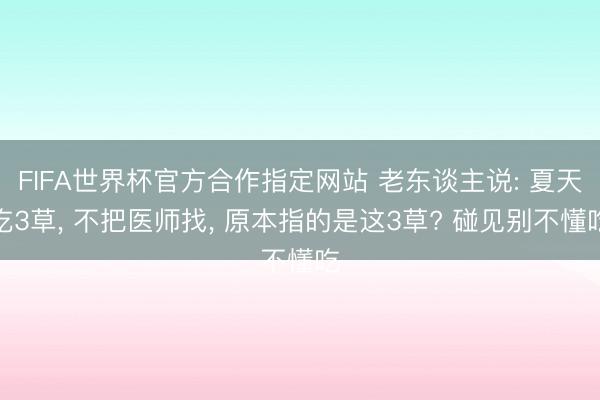FIFA世界杯官方合作指定网站 老东谈主说: 夏天吃3草, 不把医师找, 原本指的是这3草? 碰见别不懂吃