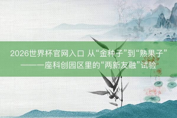 2026世界杯官网入口 从“金种子”到“熟果子”——一座科创园区里的“两新友融”试验