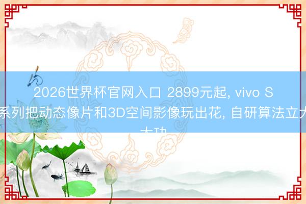 2026世界杯官网入口 2899元起， vivo S60系列把动态像片和3D空间影像玩出花， 自研算法立大功