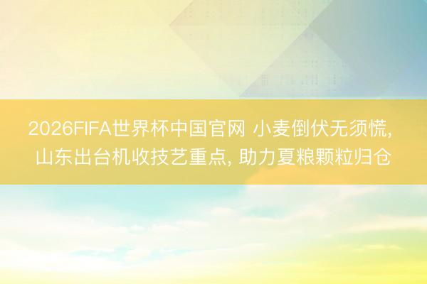 2026FIFA世界杯中国官网 小麦倒伏无须慌， 山东出台机收技艺重点， 助力夏粮颗粒归仓