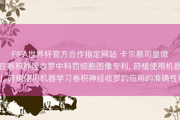 FIFA世界杯官方合作指定网站 卡尔蔡司显微镜肯求诳骗高下文数据在卷积神经收罗中科罚细胞图像专利， 莳植使用机器学习卷积神经收罗的应用的准确性和可靠性