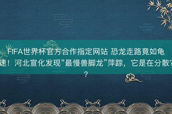 FIFA世界杯官方合作指定网站 恐龙走路竟如龟速!河北宣化发现“最慢兽脚龙”萍踪,它是在分散?